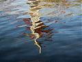 reflections #1