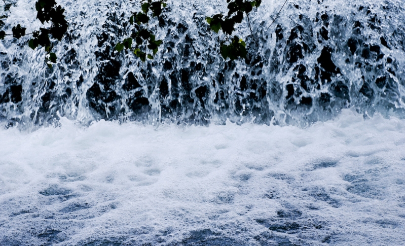 natura #8