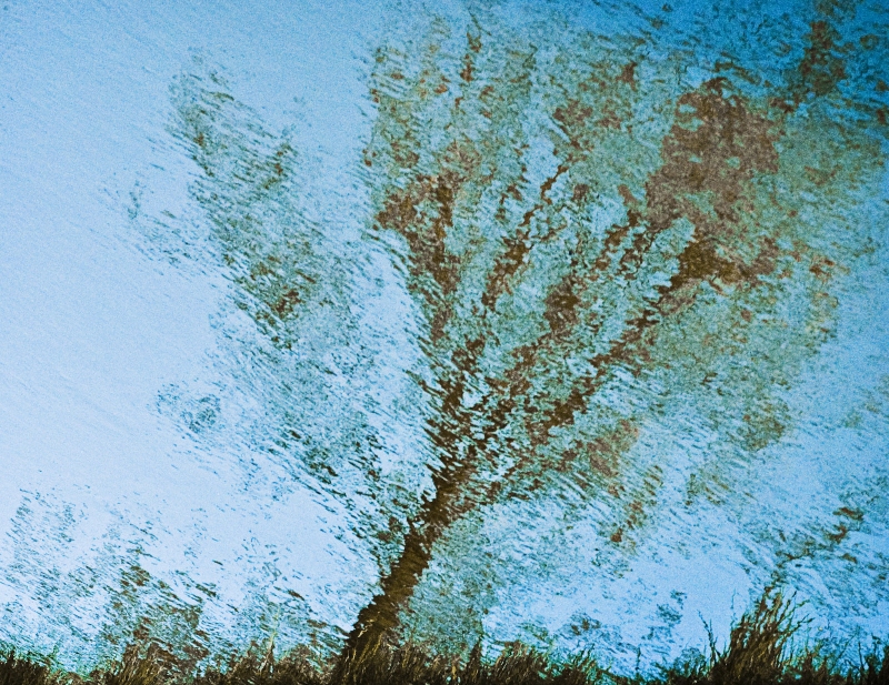 reflections #6: pejzaż na wodzie